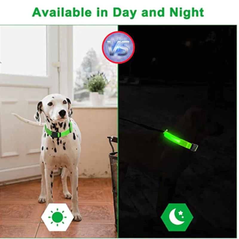 LED Adjustable Dog Collar Blinking Flashing Light up Glow Pets Safety Waterproof